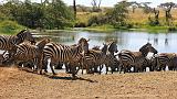 TANZANIA - Serengeti National Park - 069